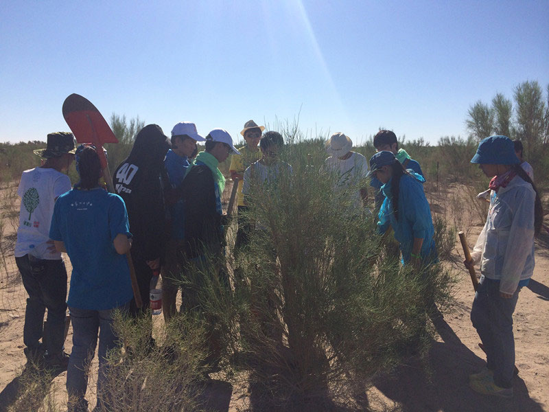 ������Ҫ��һ���ļ��ɺͽ�(j��ng)�(y��n)��ͬ�W(xu��)���_(k��i)ʼ������һƬ�����ַ��ز����^�m(x��)�����[�ص�����