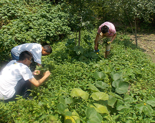 �ڶ������(du��)�T���_ʼ�������B(t��i)�r(n��ng)��(ch��ng)�w�(y��n)�r(n��ng)�����������ժ����