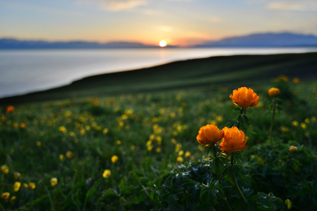 ���(hu��)�����l(xi��ng)�ĸ����