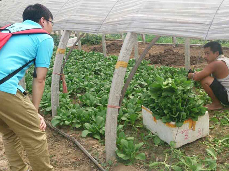 ���`꠆T�c��(d��ng)?sh��)��r(n��ng)��e�O��ͨ������������}���˽��߲˴�������P(gu��n)��r��