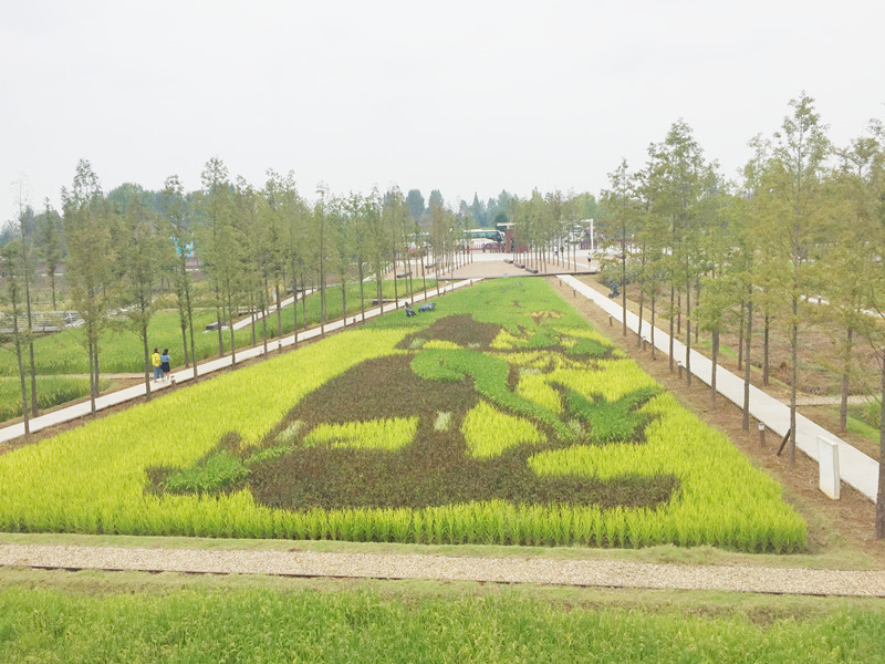 ������L�������������zӰ����־�ۣ�