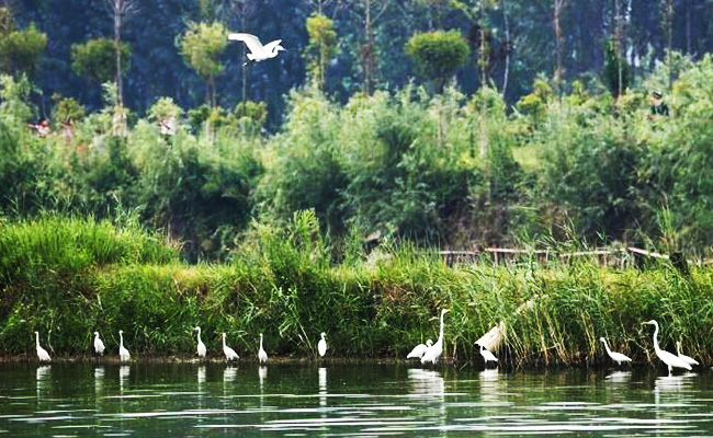 ͯԒ�ϼң���������Ԋ(sh��)�����Ϙ���f����