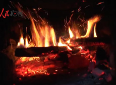 �t��t����~����������ʳ���ρ�(l��i)