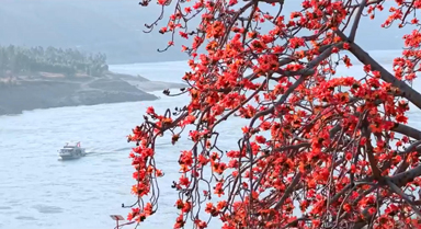 攀枝花長(zhǎng)啥樣？到攀枝花去看看