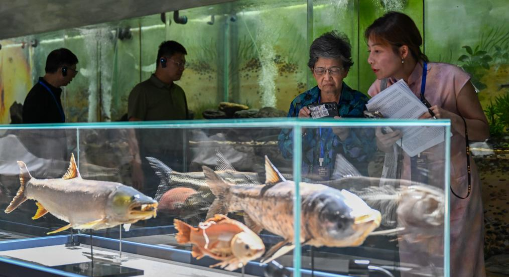 多國代表參訪湖北